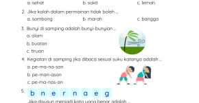 Mengasah Pemahaman Contoh Soal Tematik Kelas 3 Tema 6 Subtema 1