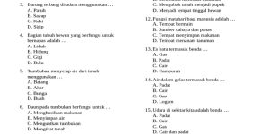 Soal Olimpiade Sains Kelas 2 SD PDF