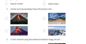 50 lembar kerja Aktivitas Alam untuk Kelas 4 di Quizizz Gratis
