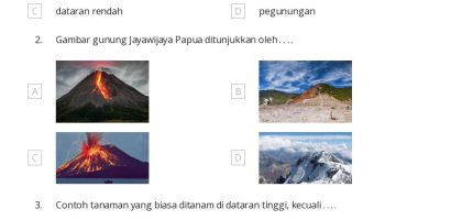 50 lembar kerja Aktivitas Alam untuk Kelas 4 di Quizizz Gratis