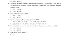 Soal Olimpiade Matematika SD 2024 PDF