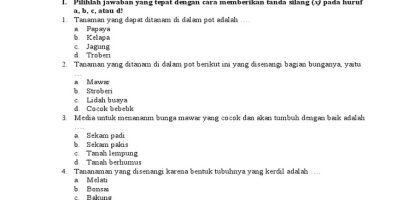 Soal PLH Kelas 4 Semester 1 PDF